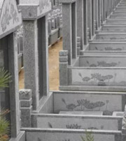 滨州祖坟墓地出现这种现象，大事不妙，千万要注意了！