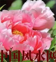 滨州预示你财运上升，姻缘可成的梦境，快来看看吧！