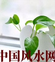 滨州家中摆放六种吉祥物，会打开您的财运大门！