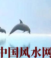 滨州做梦梦到这些，是要富裕的征兆！